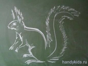 Рисунок белки