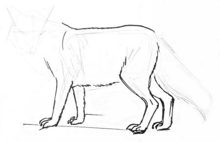 Рисуем лису -7