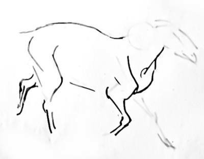 Рисуем барана