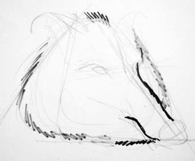 Поэтапный рисунок головы кабана