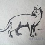 Как из пластилина слепить кошку