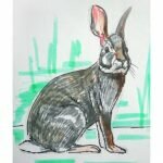 Как нарисовать сидящего зайца