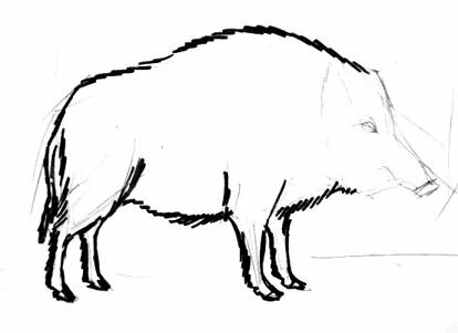 Нарисуем кабана