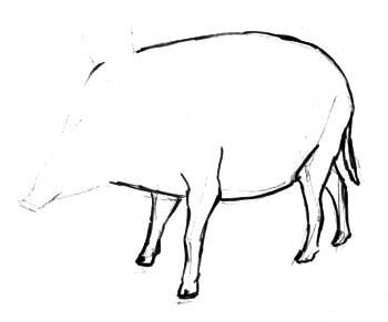 Рисуем кабана(вепря)