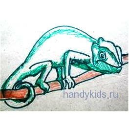 Хамелеон рисунок