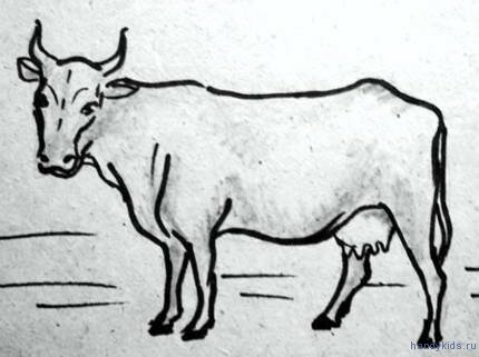 Рисунок стоящая корова