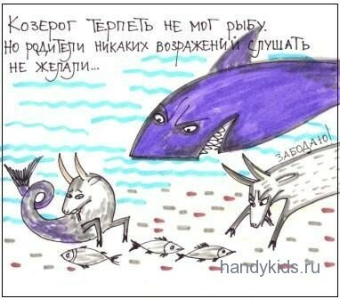 Приключения козерога