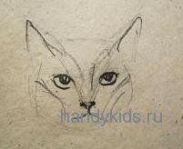  Как нарисовать голову кошки