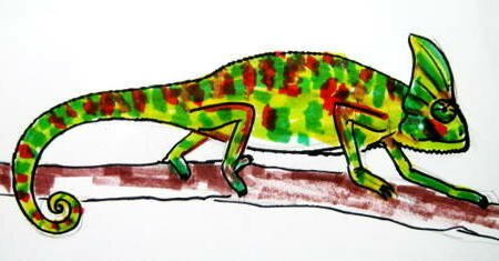 Рисунок хамелеон 17
