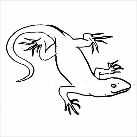 Рисунок ящерица