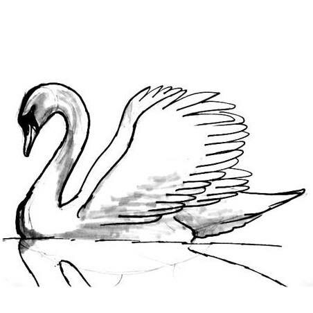Лебедь рисунок