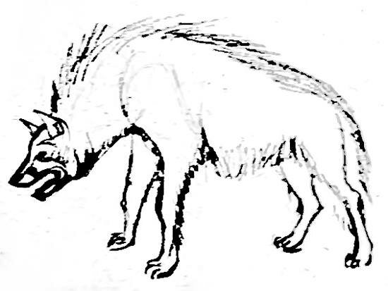 Гиена рисунок