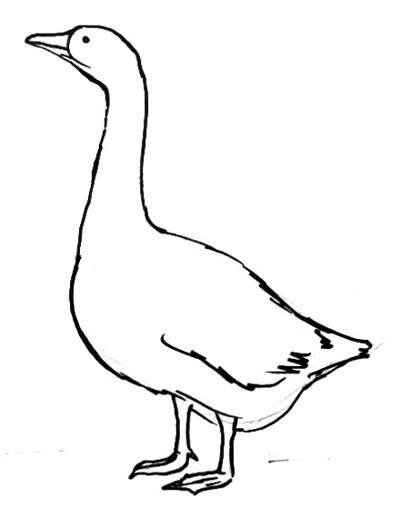 Рисунок Гусь