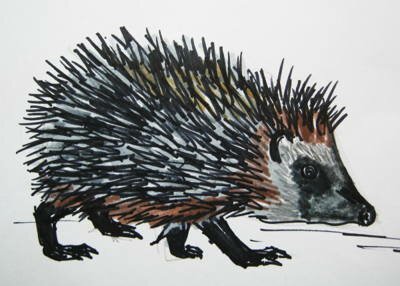 Рисунок еж