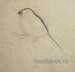 Рисуем сидящую птицу