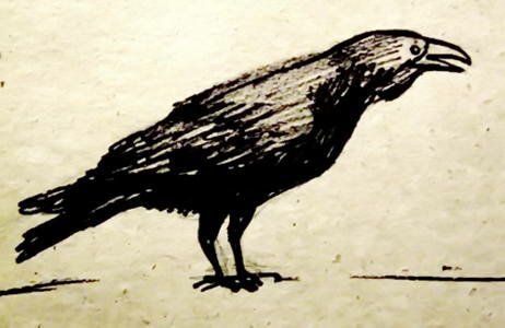 Рисунок Ворон