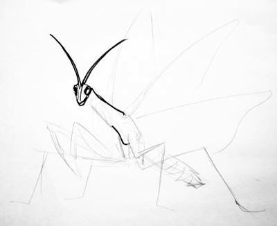 Рисуем богомола