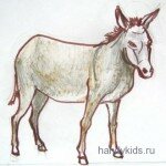 Нарисуем осла