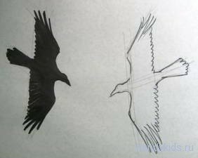 Как рисовать птиц