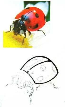 Как нарисовать божью коровку