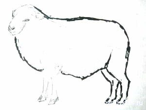 Рисуем барана