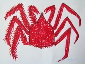 fauna2 014