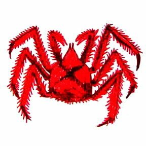 Рисунок камчатского краба