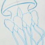 meduza 004