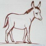 Как нарисовать ослика