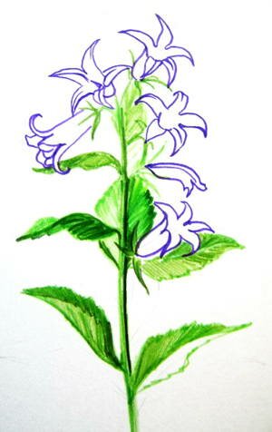 Рисуем колокольчик
