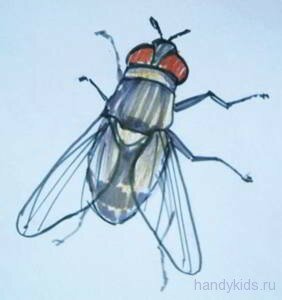 fly 017
