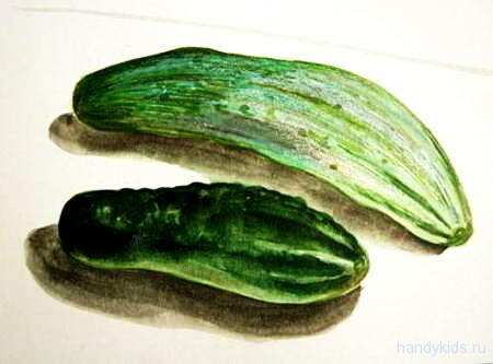 Огурцы рисунок