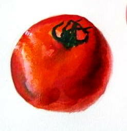 Рисунок помидор(томат)