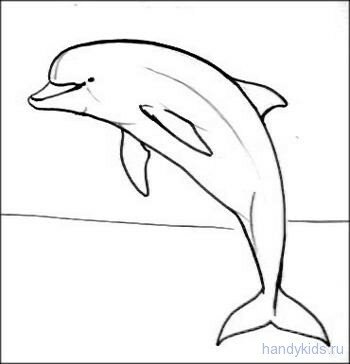 Dolfin 013