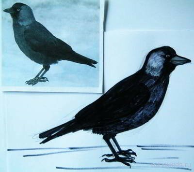 birds 008