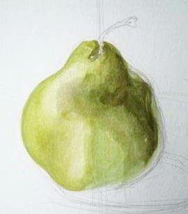 Рисуем грушу с натуры