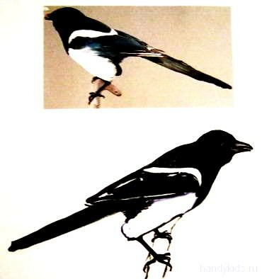 Рисунок сорока