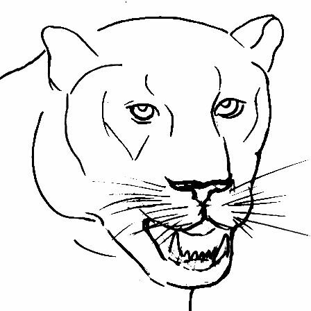 7-How-to-draw-a-panther-face- step-by-step-010