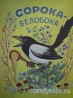 Сорока белобока