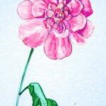 Как нарисовать пион
