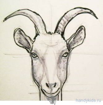 goat 0177