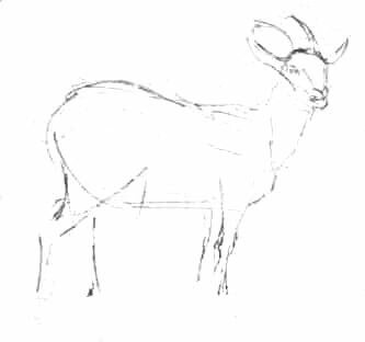 Нарисуем козу