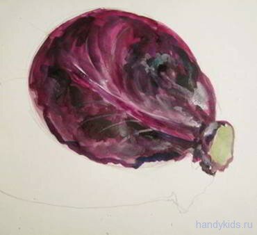 Рисунок капуста