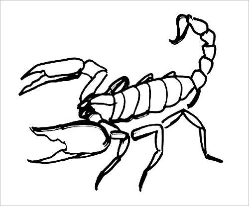 Раскраска Скорпион