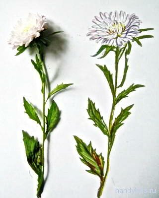 Рисунок Астра