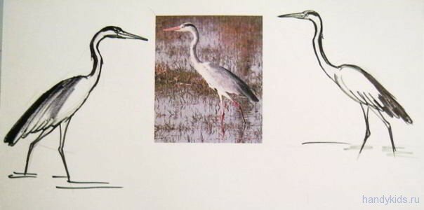 Рисунок цапли