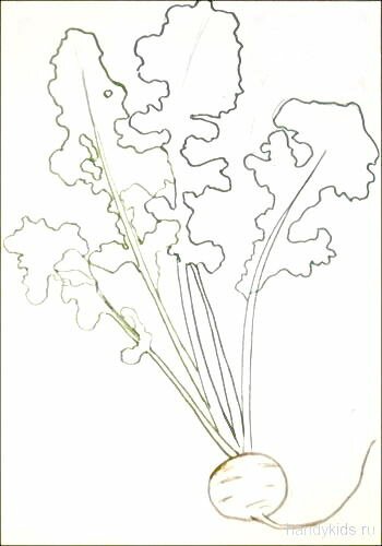 Рисунок Репа -13