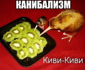 Киви-киви