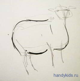 Как нарисовать овцу