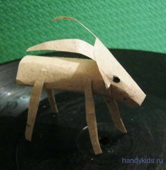 sheep-goat 035